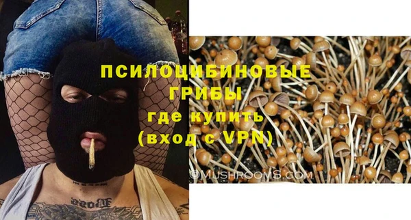 амфетамин Алексеевка