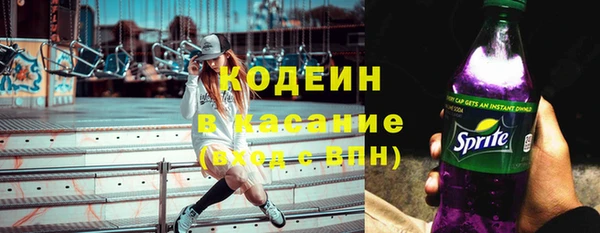 индика Саяногорск