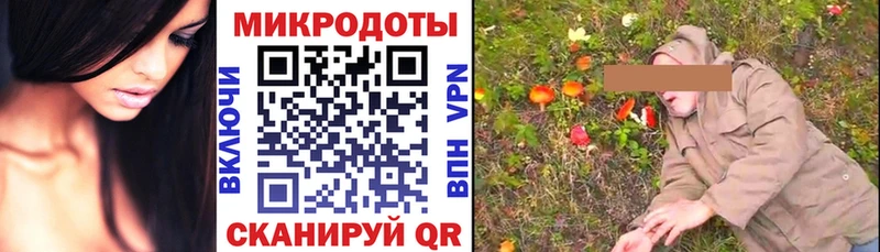 цена   Белоозёрский  МЕГА   Псилоцибиновые грибы GOLDEN TEACHER 